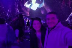 Disney Immersive octubre 2024