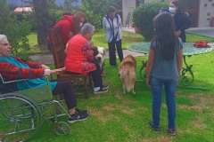 Jornada Lúdica con la Casa del Perro y el Gato