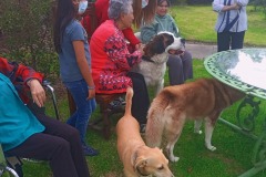 Jornada Lúdica con la Casa del Perro y el Gato