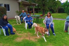Jornada Lúdica con la Casa del Perro y el Gato