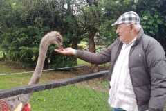 Fundacion La Manuelita - Salida a Restaurante Campestre