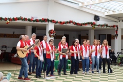 Concierto-Navideno-Voces-Unidas-14