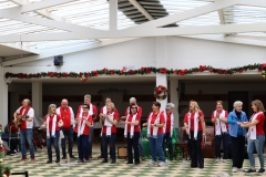 Concierto-Navideno-Voces-Unidas-17