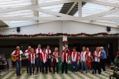 Concierto-Navideno-Voces-Unidas-19