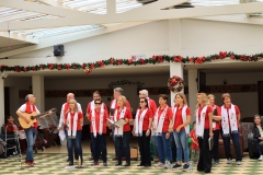Concierto-Navideno-Voces-Unidas-2