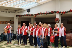 Concierto-Navideno-Voces-Unidas-6
