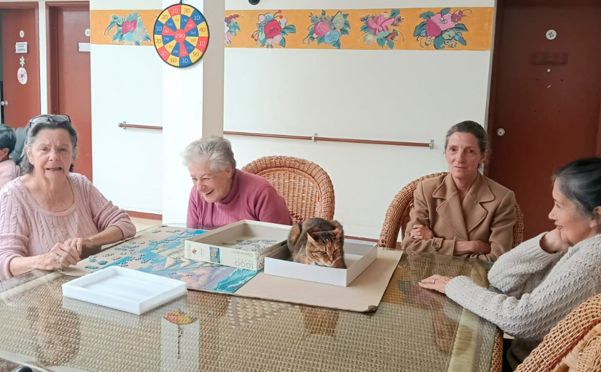 Valores de la Fundación La Manuelita