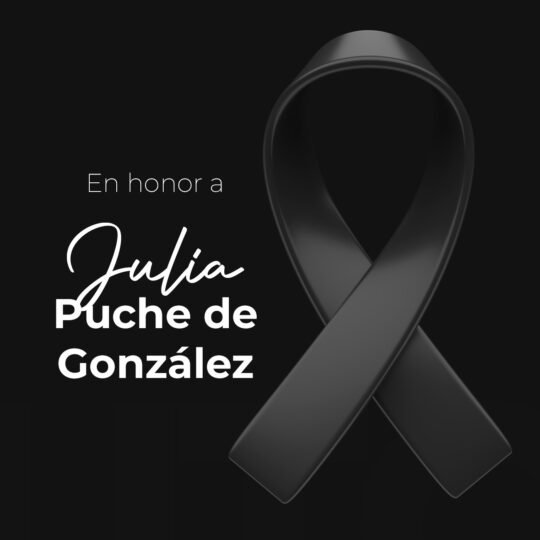 En honor a la vida de Julia Puche de González